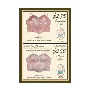  Embroidered Lace and Alencon Lace 20x30 poster