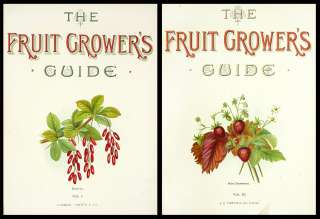 1891 JOHN WRIGHT FRUIT GROWERS GUIDE 6 VOLUMES 43 PRINT  