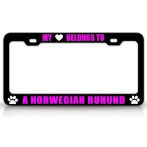  MY HEART BELONGS TO A NORWEGIAN BUHUND Dog Pet Steel Metal 