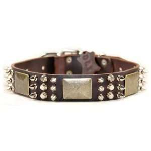  Crazy Combo Leather Spiked Dog Collars