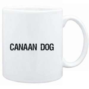   Canaan Dog  SIMPLE / CRACKED / VINTAGE / OLD Dogs
