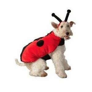  Ladybug Dog Costume Size Large