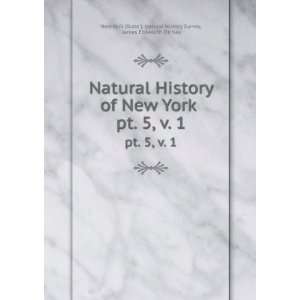   Ellsworth De Kay New York (State ). Natural History Survey Books