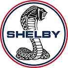 FORD MUSTANG SHELBY GT COBRA vinyl sticker decal 18
