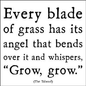  Every Blade Of Grass   Talmud Magnet