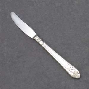   1847 Rogers, Silverplate Viande Knife, Modern Blade