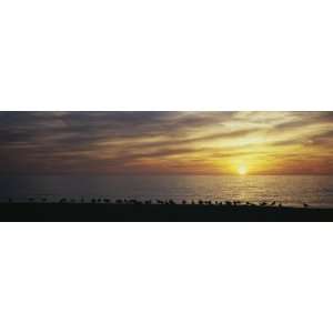 com Sunset Over a Sea, Gulf of Mexico, Venice Beach, Venice, Florida 