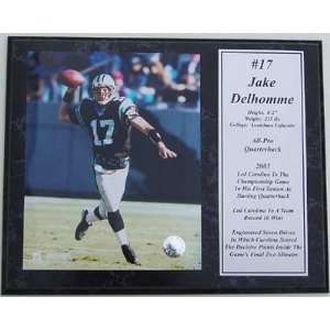 Jake Delhomme Photograph with Statistics Nested on a 12 x 15 Plaque