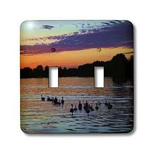 Edmond Hogge Jr Nature   Chain of Lakes   Light Switch Covers   double 