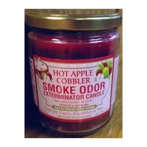    Odor Exterminator Candle Hot Apple Cobbler 13oz