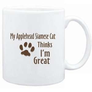    MY Applehead Siamese THINKS IM GREAT  Cats