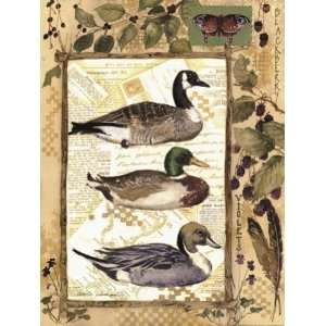  3 Ducks Finest LAMINATED Print Anita Phillips 12x16