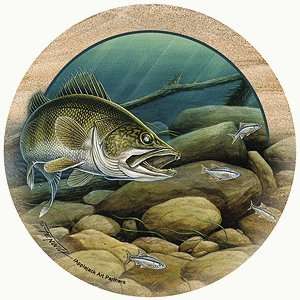  THIRSTYSTONE COASTERS GREAT OUTDOORS   WALLEYE & SHINERS 