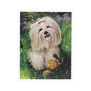  Lhasa Apso in Garden Notecards 