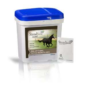  Steadfast Equine Joint and Soft Tissue Supplement (60 