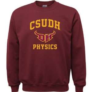  Cal State Dominguez Hills Toros Maroon Youth Physics Arch 