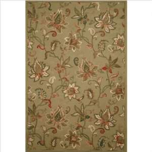  Appleton Rug Co. CT 22 Hearth CT 22 Green Transitional Rug 