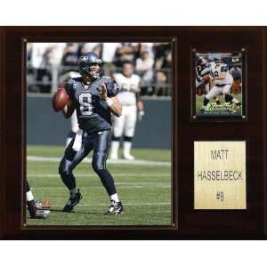  NFL Matt Hasselbeck Seattle Seahawks Player Plaque Sports 