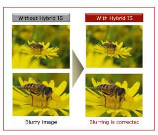 the lens elements to compensate for both types of movement