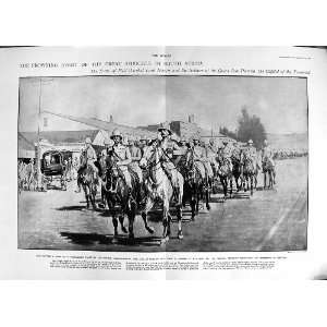   1900 LORD ROBERTS WAR AFRICA PRETORIA TRANSVAAL HORSES