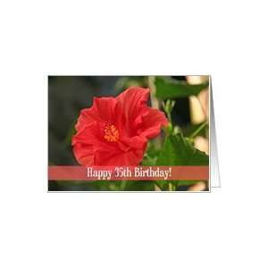  Red Floral 35th Birthday Card Card Toys & Games