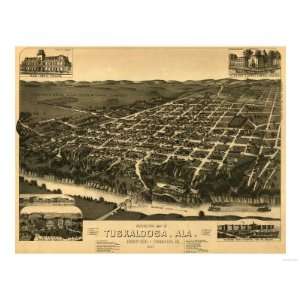  Tuscaloosa, Alabama   Panoramic Map Premium Poster Print 