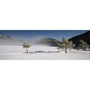 Trees on a Snow Covered Landscape, French Riviera, France Photographic 