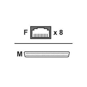   Chase Research ULTRAPORT RJ45 CONNECTOR BOX ( 04001770 ) Electronics