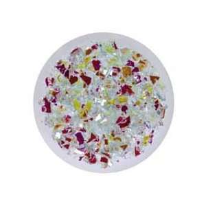  Rosco Sunset Prismatic Glass Gobo Pattern B Size 43804 