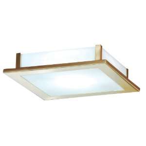 Eglo 88093A Auriga, Brass Coated/Frosted Opal, 2 Light Wall/Ceiling 