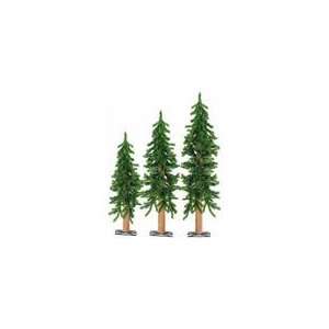  Sterling/Palm Tree 2 3 4Ft P/L Alpine Trees 2511 234C 
