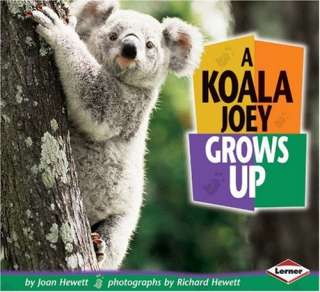 Koala Joey Grows Up (Baby Animals (Carolrhoda Books Paperback))