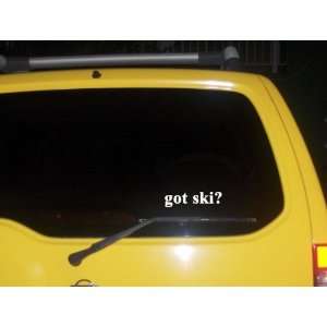  got ski? Funny decal sticker Brand New 