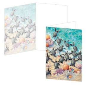  ECOeverywhere Green Turtle Hatchlings Boxed Card Set, 12 