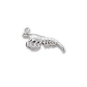  Shrimp Charm in Sterling Silver Jewelry