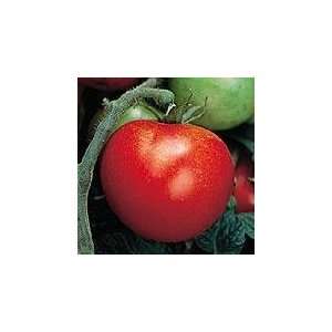   Certified Organic Seed, Thessaloniki Tomato Patio, Lawn & Garden