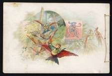 1889 Allen & Ginter A4 Birds of the Tropics Album  