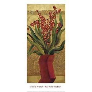  Shelly Bartek   Red Baby Orchids