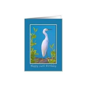  Birthday, 94th, Snowy Egret Bird Card Toys & Games
