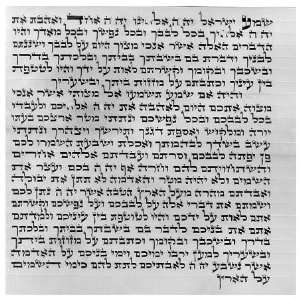  Mehudar Extraordinary Mezuzah Scroll, 15cm Everything 