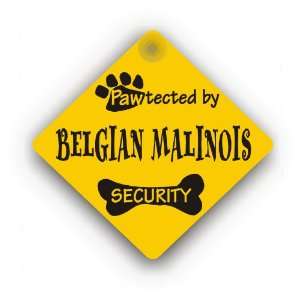 Belgian Malinois Security