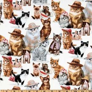  44 Wide Petpourii II Dress Up Cats White Fabric By The 