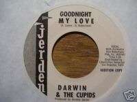 DARWIN & THE CUPIDS *DJ COPY* GOODNIGHT MY LOVE 45  