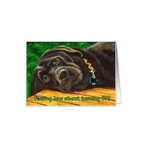  Funny Birthday ~ 57 Years Old ~ Labrador Dog Card Toys 