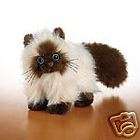 Webkinz HIMALAYAN Cat~New SEALED Unused Code TAG~FAST FREE $0 SHIPPING