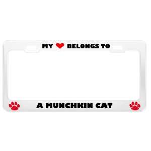 Munchkin Cat Pet White Metal License Plate Frame Tag Holder