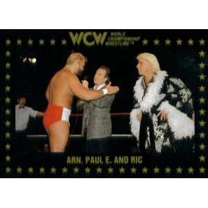   1991 WCW Collectible Wrestling Card #48  Ric Flair