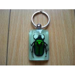  Green Rose Chafer Beetle/key Chain Arts, Crafts & Sewing