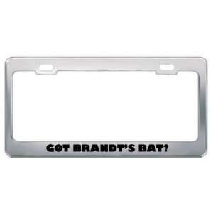 Got BrandtS Bat? Animals Pets Metal License Plate Frame Holder Border 