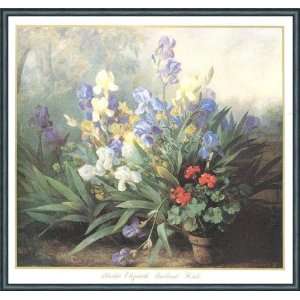  Irises and Geranium by Marthe Elizabeth Barbaud Kock 